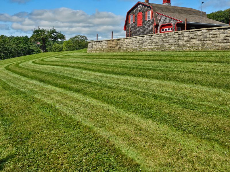 Landscaping
