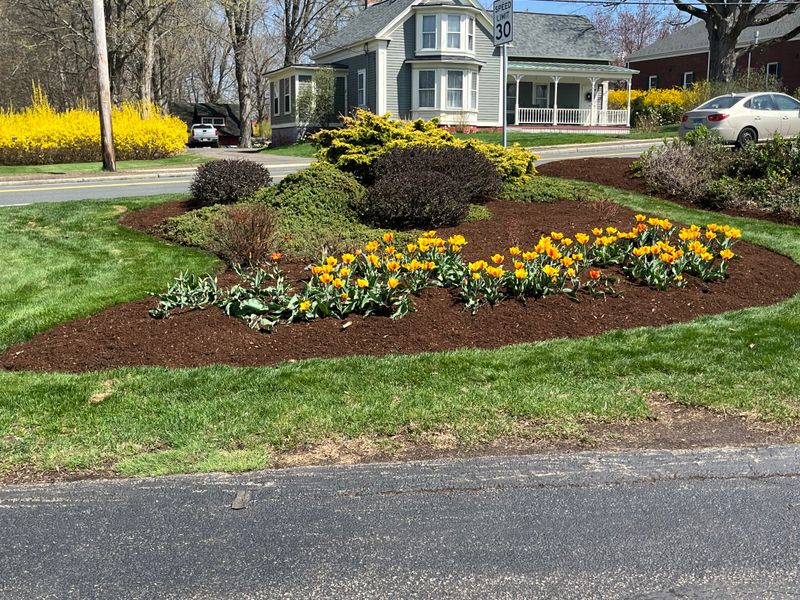 Lawn Maintenance