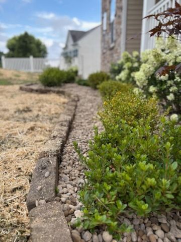 Landscape Design and Build