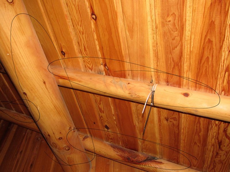 Interior Renovations
