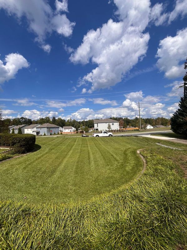 Lawn Maintenance
