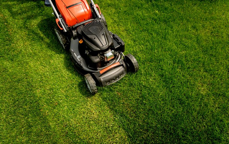 Lawn Maintenance