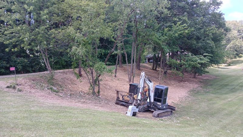 Forestry Mulching