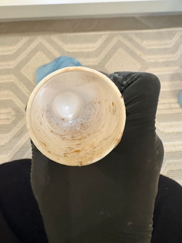 Diagnose drain flies,