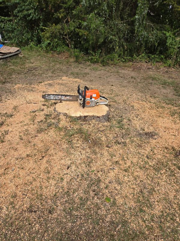 Tree Trimming