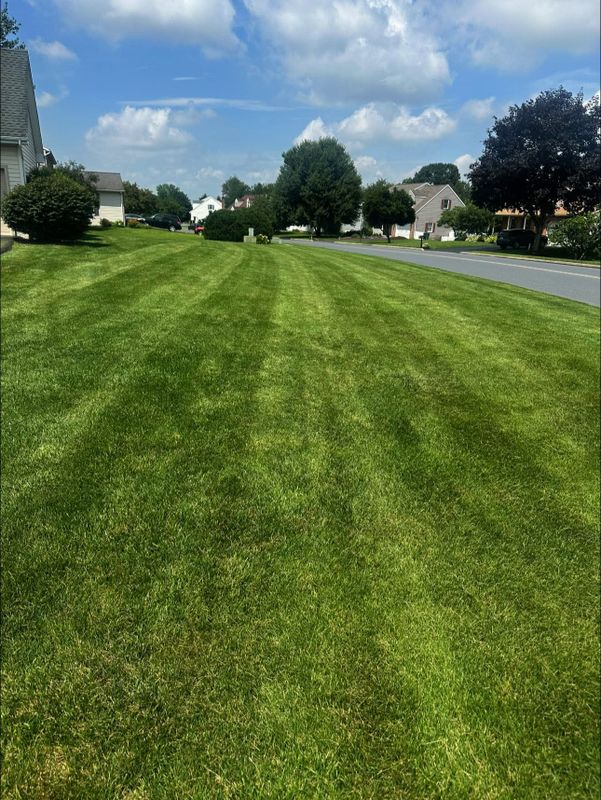 Mowing