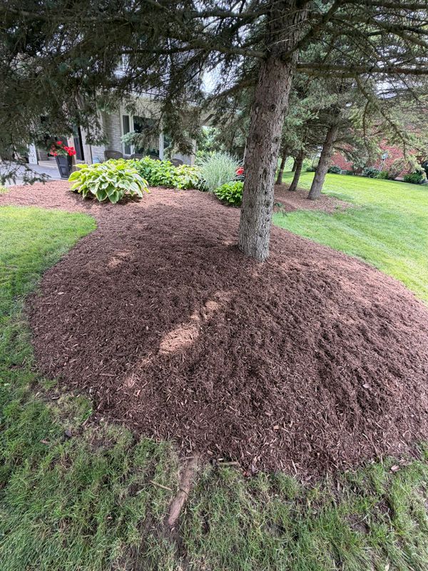 Landscaping Gallery