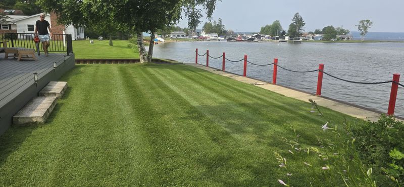 Lawncare