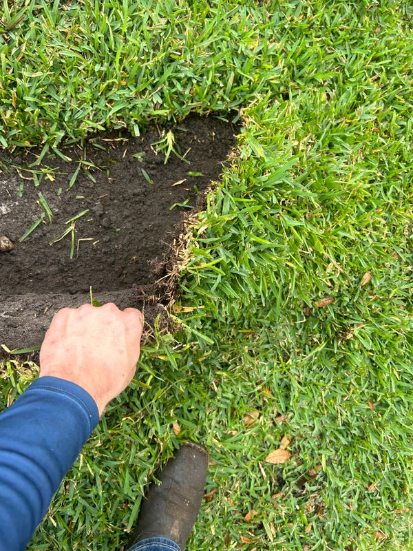 Sod Install