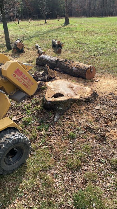 Stump Removal
