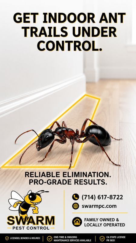Ant Control