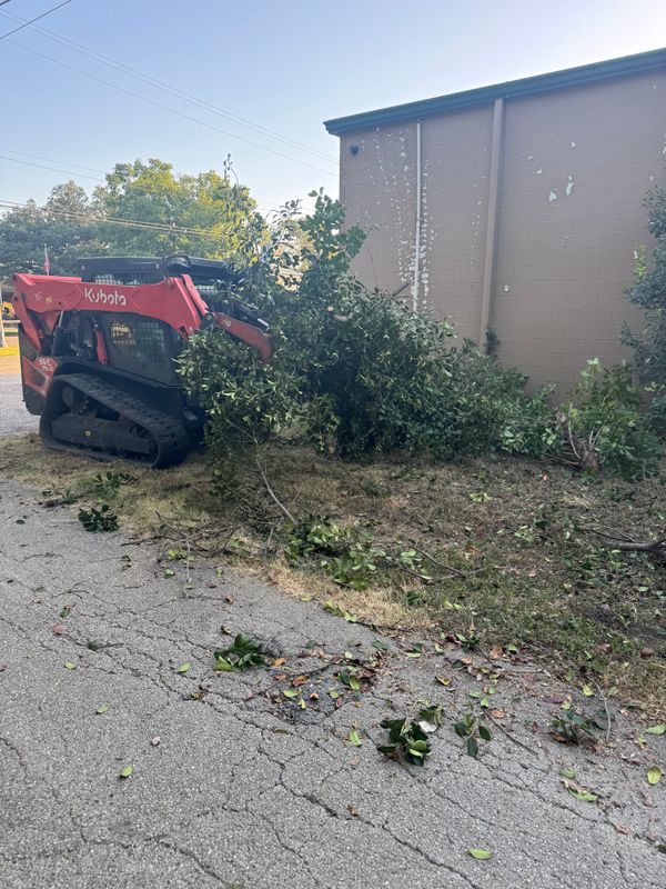 Shrub Trimming