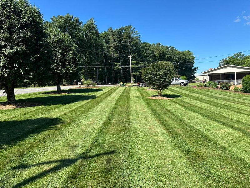 Landscaping 