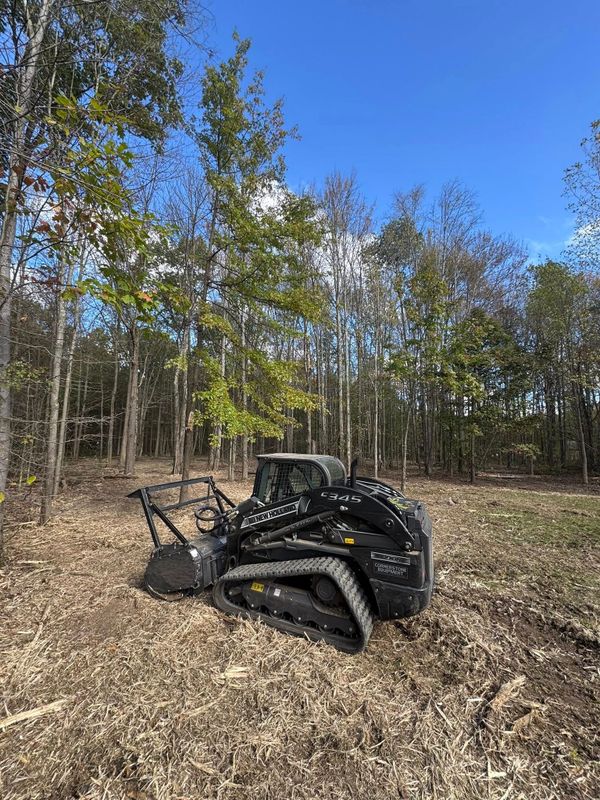 Forestry Mulching