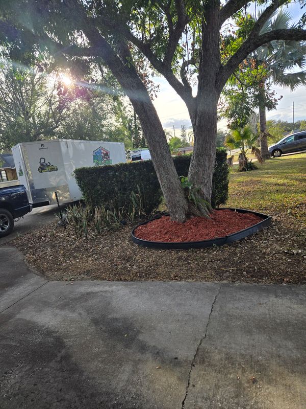 Lawn Care & Maintenance