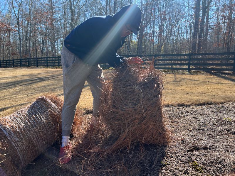 Pine straw installation