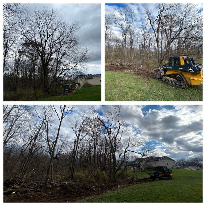 Land Clearing & Demolition