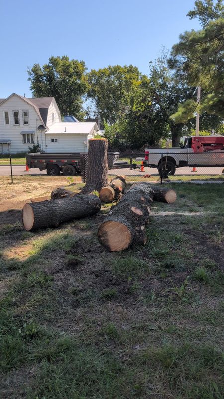 Tree Removal