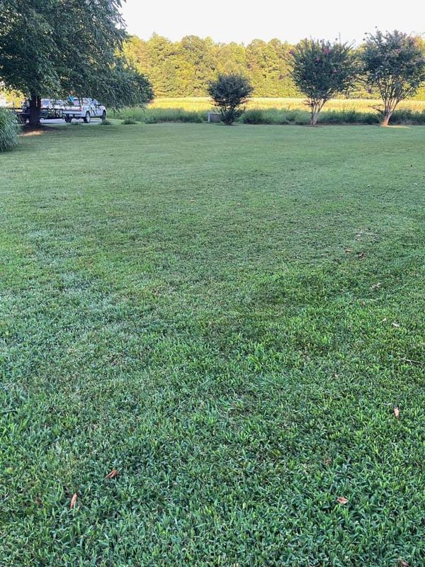 Landscaping