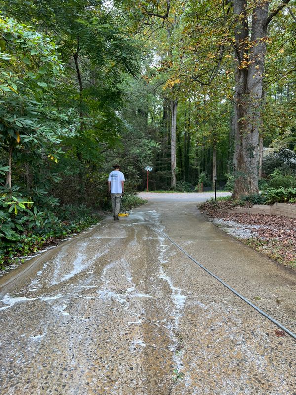 Driveway and Sidewalk Cleaning