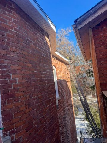 Toronto's Roofing Resilience: Triumph Inc's Expert Repair and Maintenance Solution