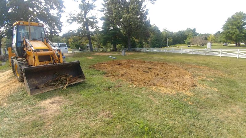 Tree Removal
