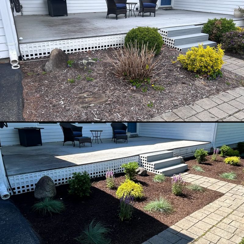 Landscape Design
