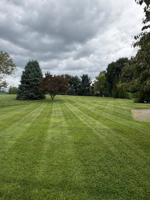 Mowing