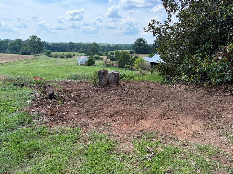 Stump Removal