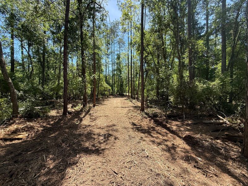 Land Clearing