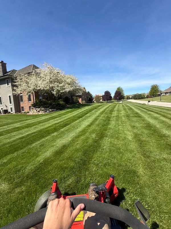 Lawn Maintenance