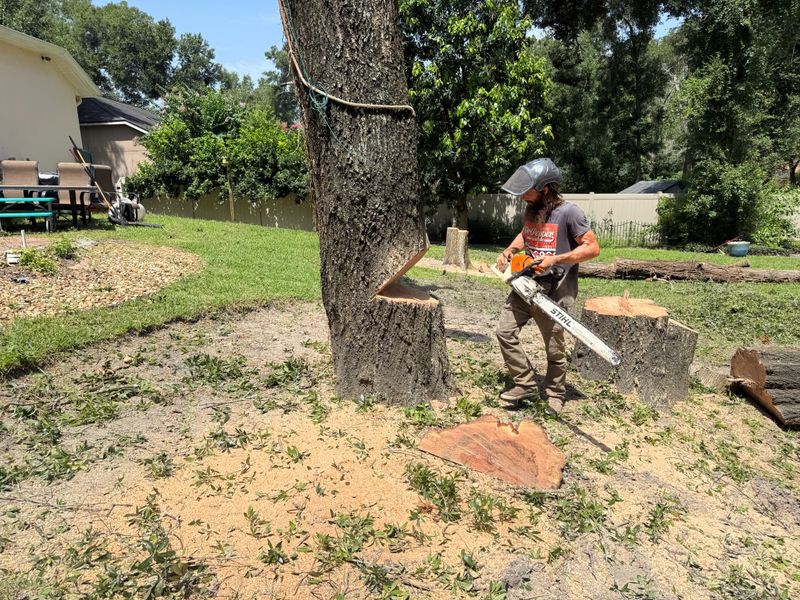 Tree Removal
