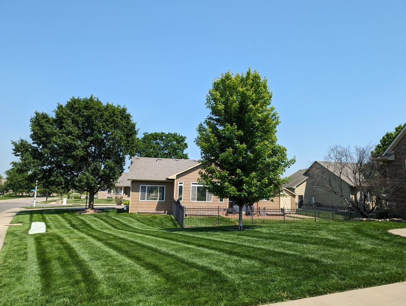Lawn Care