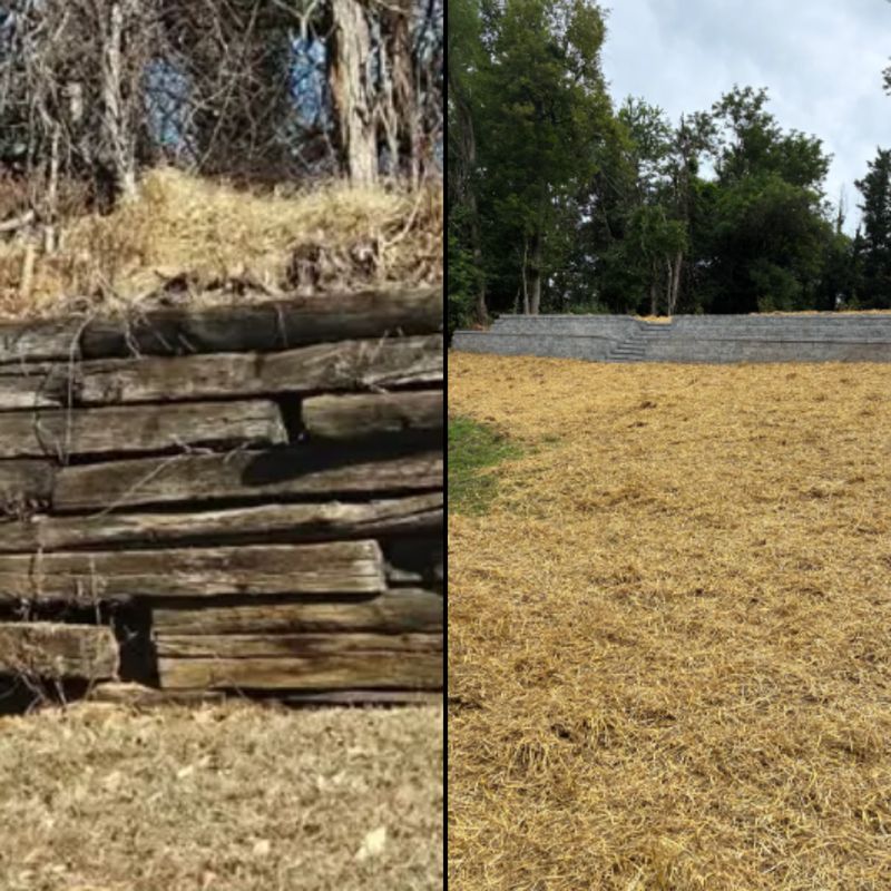 Before and Afters
