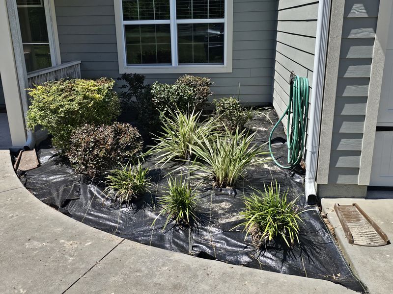 Sod Installing
