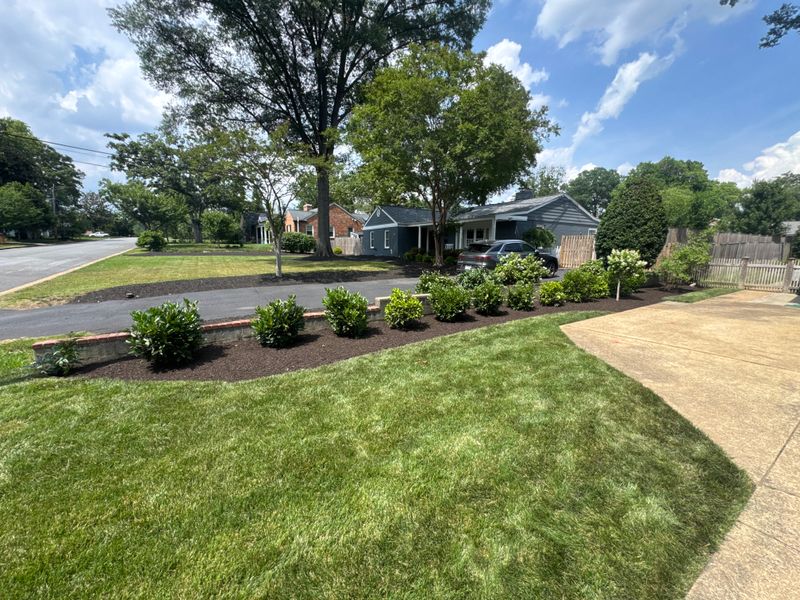 Lawn Care & Maintenance