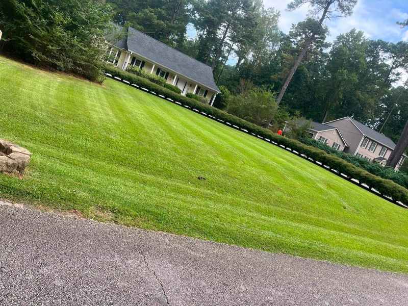 Lawn Care & Maintenance