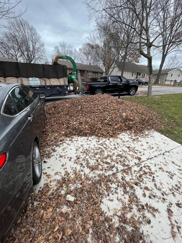 Leaf Removal