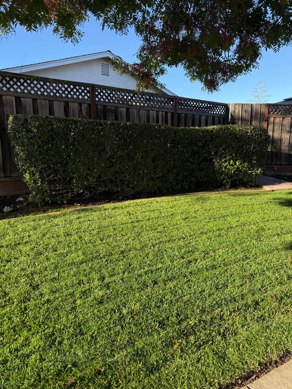 Landscaping