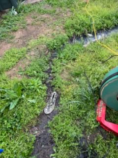 Drain Cleaning