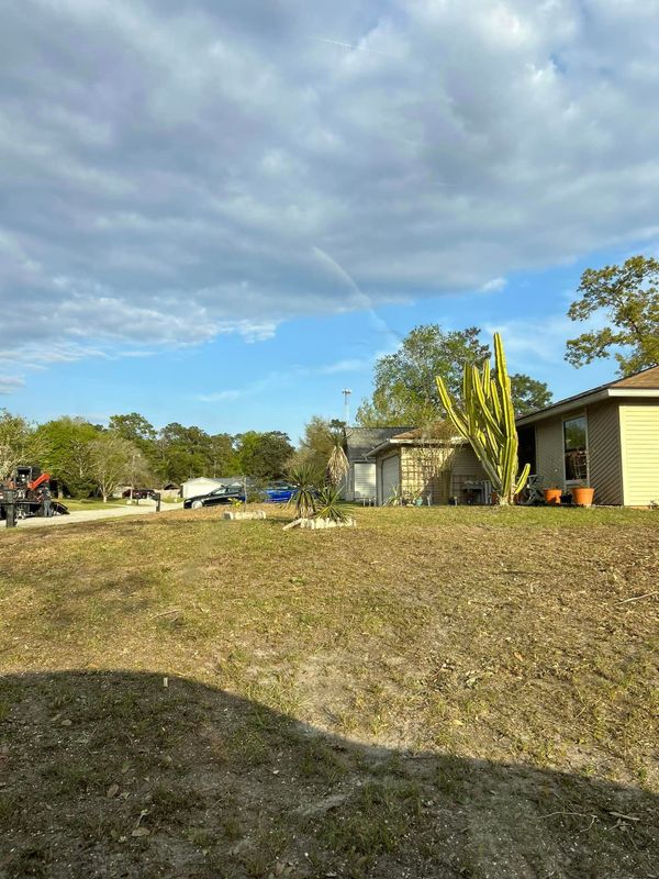Land Clearing