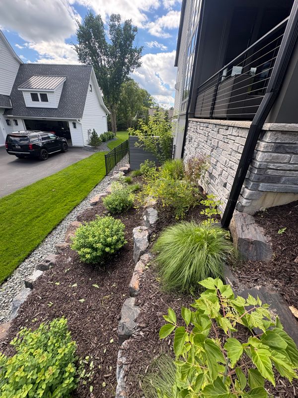 Tree and Shrub Care