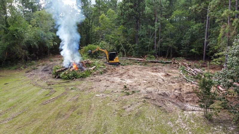 Tree Removal