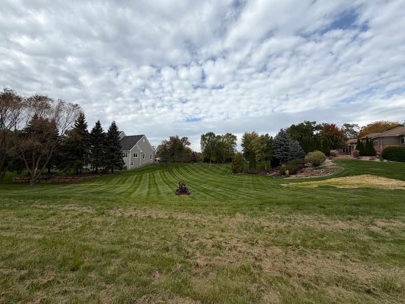 Lawn Maintenance