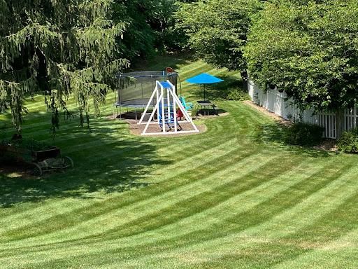 Lawn Mowing