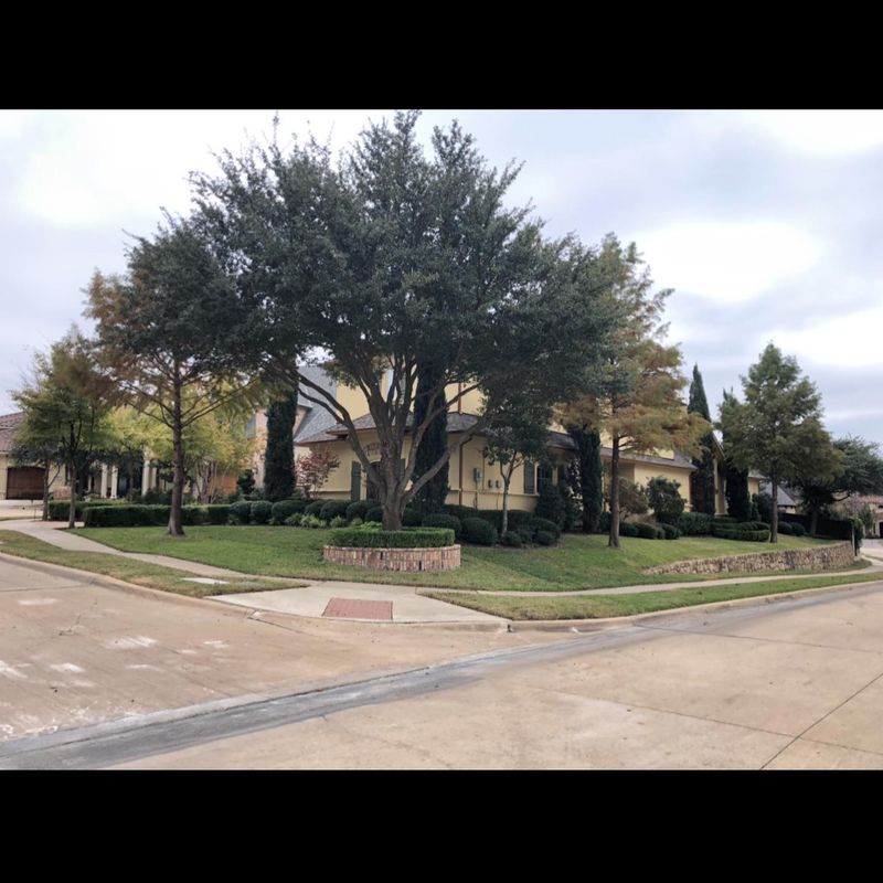 Hardscaping Landscaping