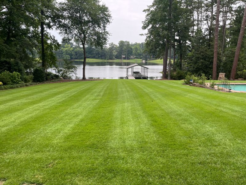 Lawn Care & Maintenance