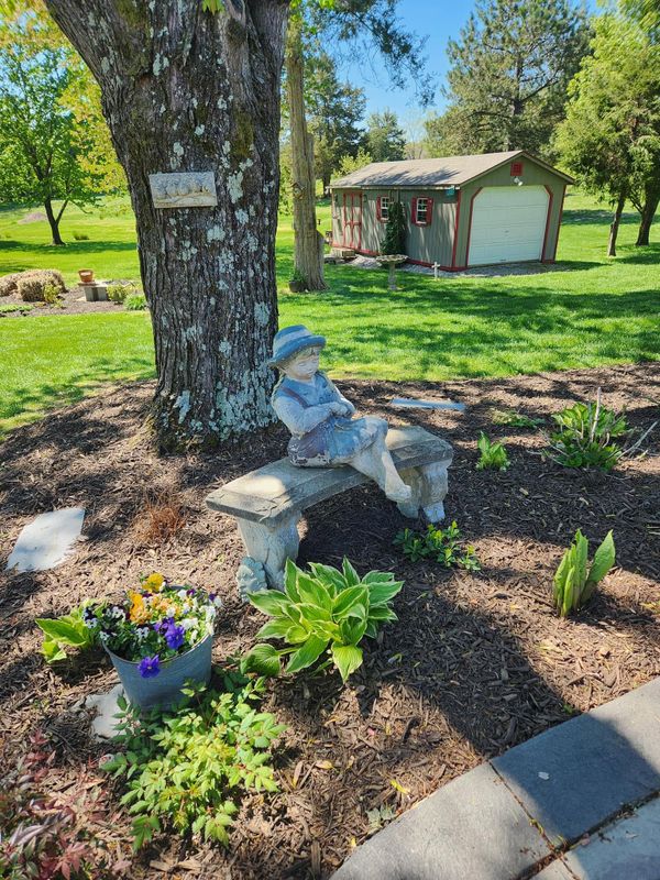 Tree & Shrub Care