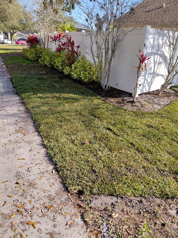 Landscape Design