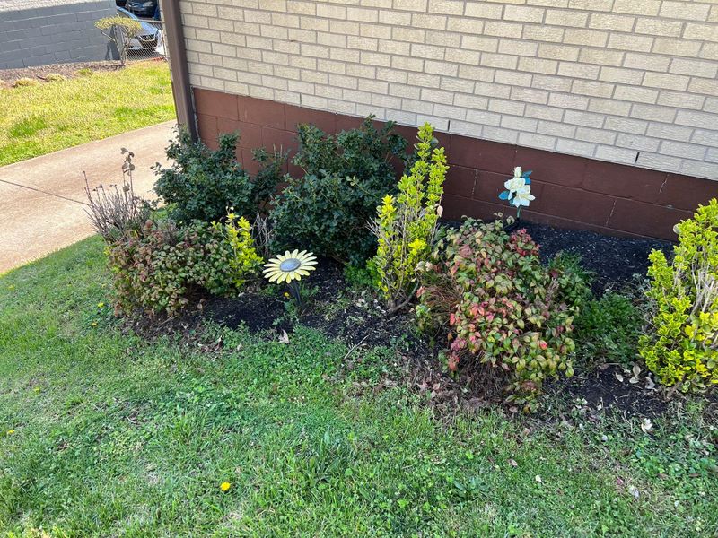 Other Lawn Services